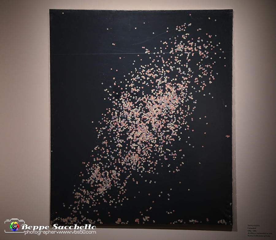 VBS_1387 - Castello di Miradolo - Mostra Oltre il giardino l'Abbecedario di paolo Pejrone.jpg